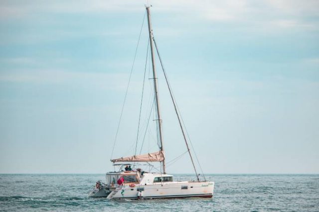 sailing a catamaran