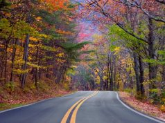 The Beautiful Colors of Autumn in Alabama Alabama’s Colour Trail