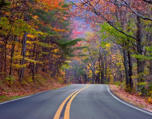 The Beautiful Colors of Autumn in Alabama Alabama’s Colour Trail