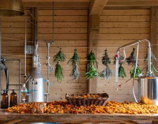 Borgo Santo Pietro introduces a weekend Aromatherapy Workshop with Lindsay Woodman