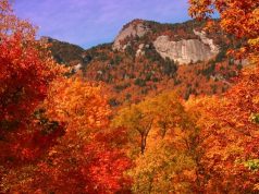 Experience Fall Colors like Never Before in North Carolina Fall in North Carolina