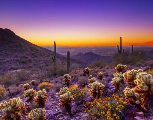 Top Reasons to Fall for Scottsdale this Autumn Sonoran Desert