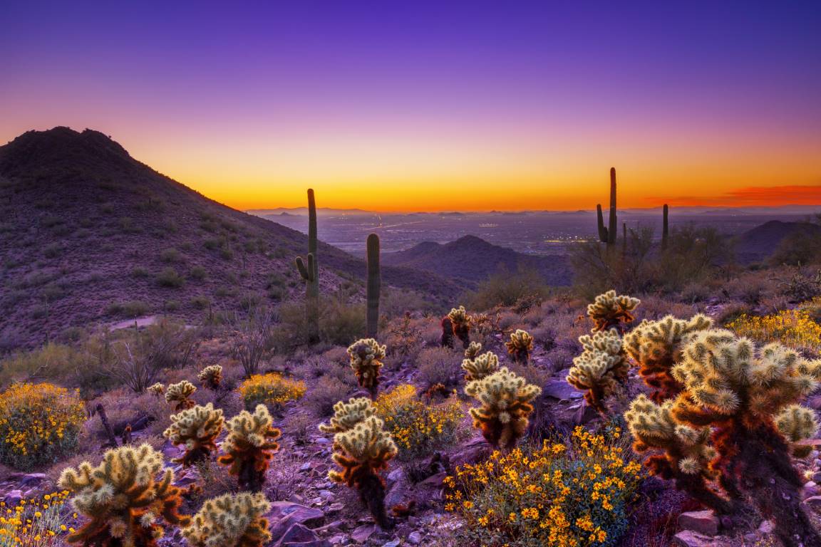 Reasons to visit Scottsdale & the Sonoran Desert this Autumn