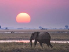 The Evolved Traveler Introduces ‘LiveAbroad’ Lifestyles