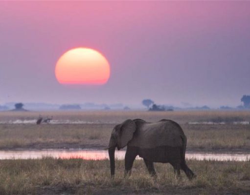 The Evolved Traveler Introduces ‘LiveAbroad’ Lifestyles