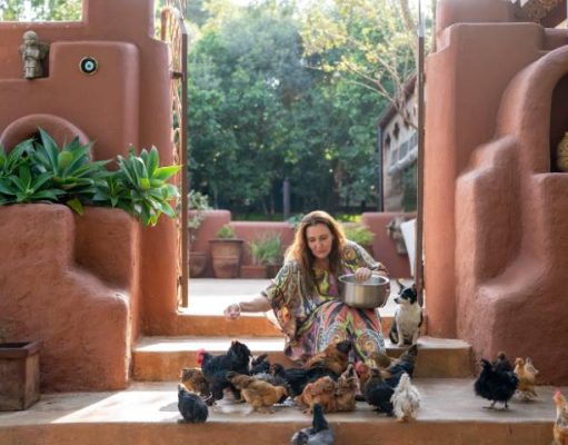 Eden Nairobi – Rediscover the Capital of Kenya