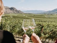 Private Air Travel Experiences with Phantom Creek Estates