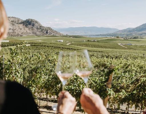 Private Air Travel Experiences with Phantom Creek Estates