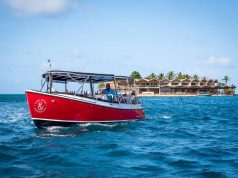 British Virgin Islands | SABA ROCK IS NOW OPEN British Virgin Islands