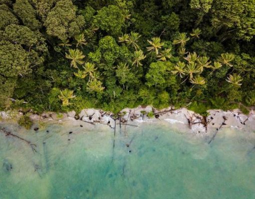 Exodus Travels Nature Net Positive by 2024 over head shot of tropical beach