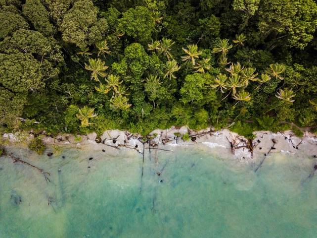 over head shot of tropical beach