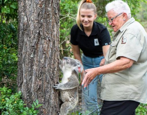 What’s New in TASMANIA, Australia
