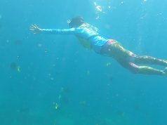 Back to Baja | Living Sea and Desert Adventures