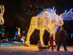 The OPG Winter Festival Of Lights Extended – 101 Nights Of Twinkling Lights!