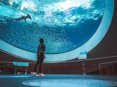 Destination Guide: Exploring Miami