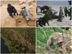 Ecolodge in Cambodia Reports Success in Nature Conservation