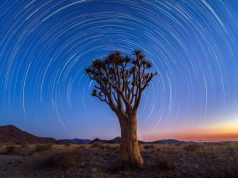 The Ultimate Stargazing Safari in Namibia