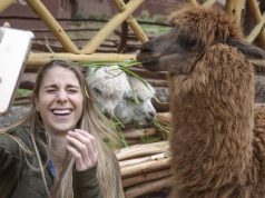 Youth Travel with G Adventures and Hostelworld