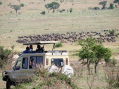 6 Awesome Activities You Should Try if You’re Going on Vacation to Africa