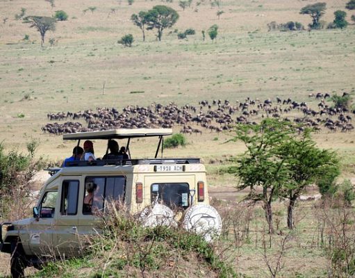 6 Awesome Activities You Should Try if You’re Going on Vacation to Africa