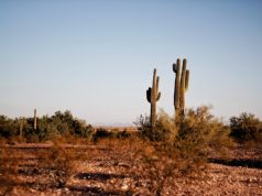 Why Odessa is the Best Place to Live