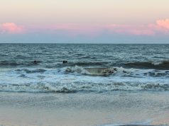 Hilton Head Island Travel Guide: Affordable Options For All Ages