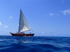 Grenada To Host Impressive Roster Of Caribbean Sailing And Fishing Events In 2022