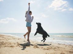 Pawesome/Purr-fect Vacations for You and Your Furry Friend