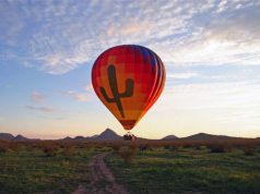 Scottsdale Steals Hearts this Valentine’s Day