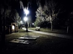 5 Unusual Things to Do in Savannah