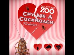 Feed your ex to the animals at the San Antonio Zoo