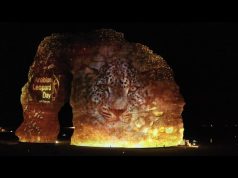 Inaugural Arabian Leopard Day kicks off