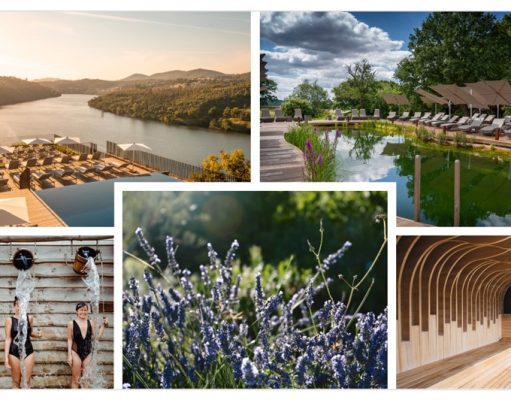 Wellness Trends in 2022