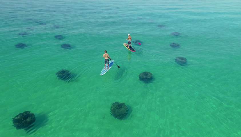 Spearfishing off the paddle board around the Emerald Coast : r/Spearfishing