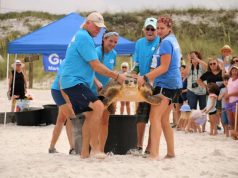 Inside Destin-Fort Walton Beach’s New Artificial Reef Expansion Plans