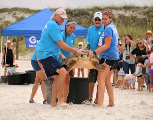 Inside Destin-Fort Walton Beach’s New Artificial Reef Expansion Plans