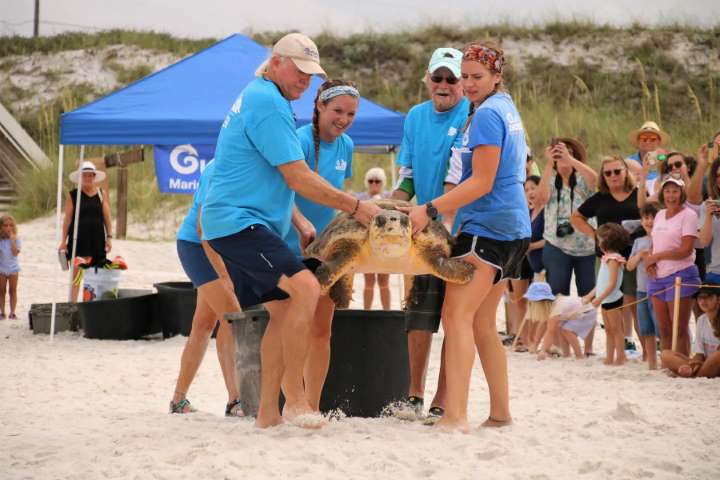 Sustainable Travel | New Artificial Reef Expansion Plans in Florida