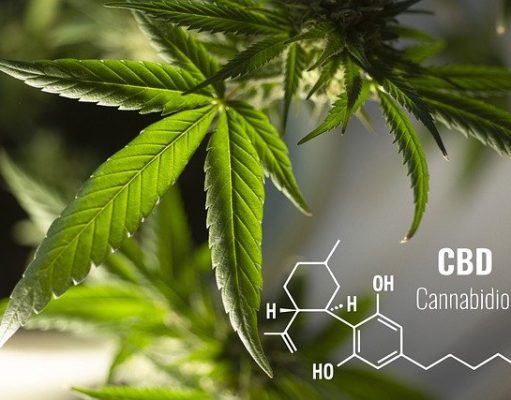 6 Types Of CBD Products You Can Easily Buy