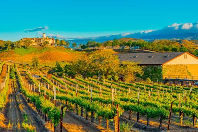 Top 10 Things to Do in Temecula – Your Ultimate Guide