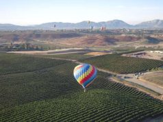 Top 10 Things to Do in Temecula – Your Ultimate Guide