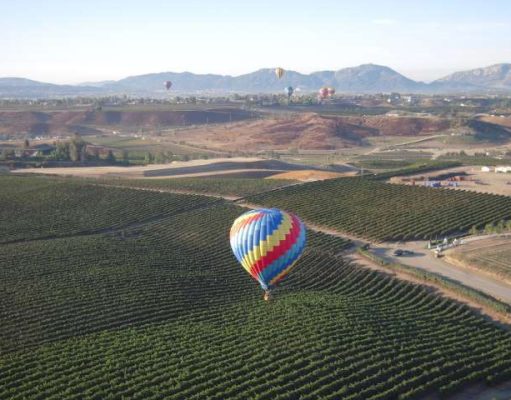 Top 10 Things to Do in Temecula – Your Ultimate Guide