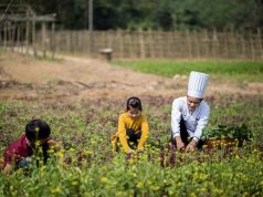 Fusion Hotel Group Honors Earth Day Year Round In the vegetable garden at Alba Wellness Valley by Fusion