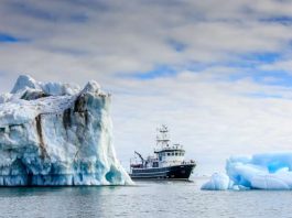 Expedition Cruises with Smallest Group Sizes