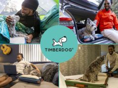 Timberdog Makes Traveling with Pets a Walk in the Park