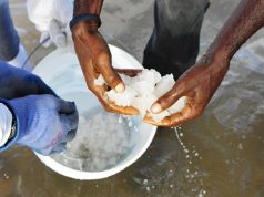 Take Anguilla’s History with a Pinch of Salt…Literally! collecting sea salt