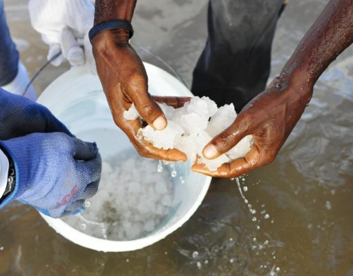 Take Anguilla’s History with a Pinch of Salt…Literally! collecting sea salt