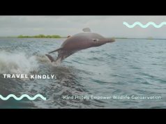 Fort Myers – Islands, Beaches and Neighborhoods Teams Up With Kind Traveler