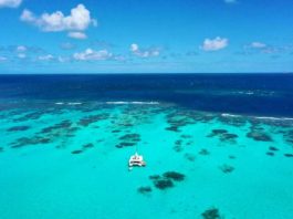 The Tobago Cays best sailing, snorkeling and scuba diving