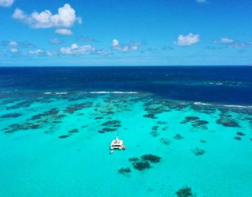 Happy Earth Day, Here is a collection of Eco-Travel Experiences The Tobago Cays best sailing, snorkeling and scuba diving