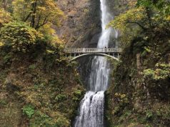 Things to do while traveling to Oregon waterfall in Oregon